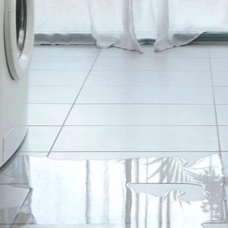 Appliance Leak Cleanup in Bertram, TX