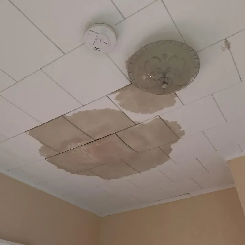 Ceiling Water Damage Repair in Bertram, TX