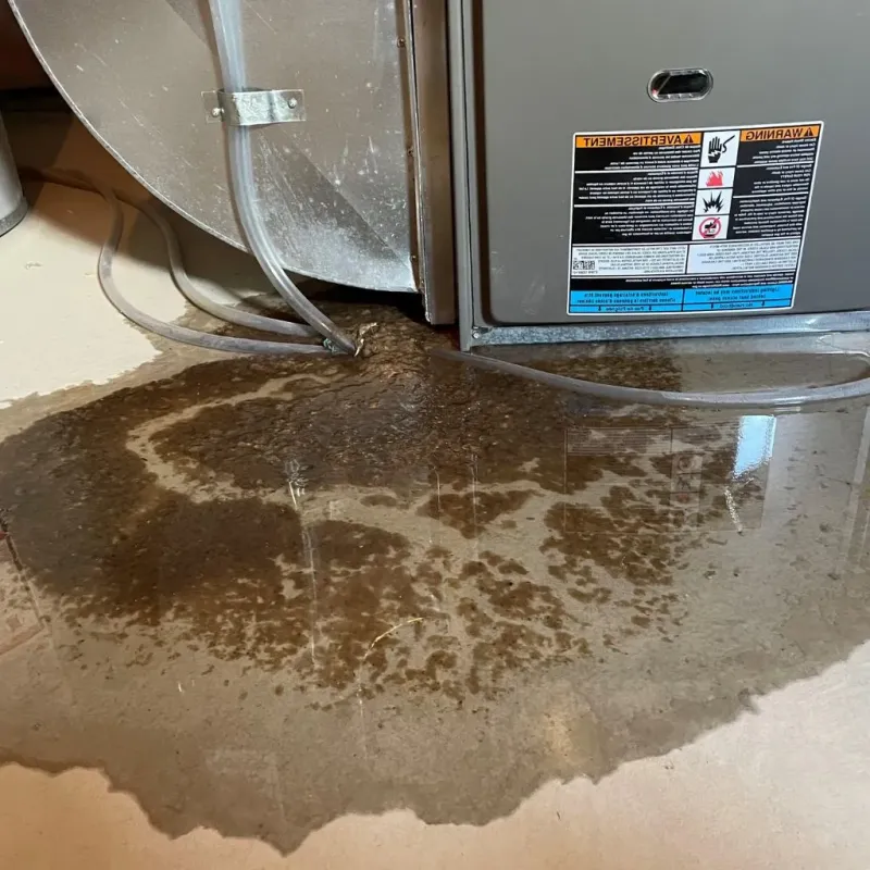 Pipe Burst and Leak Restoration in Bertram, TX