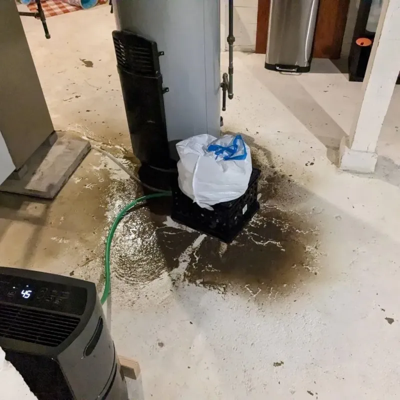 Sewage Backup Cleanup Service in Bertram, TX